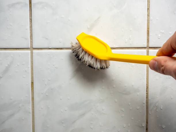 Best Same-Day Mold Removal  in Springdale, NJ